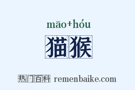 猫猴是什么意思的图片